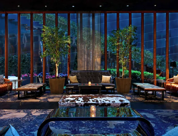 Dream Downtown, by Hyatt hotel detail image 3