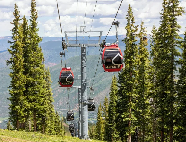 Residences at the Little Nell hotel detail image 3
