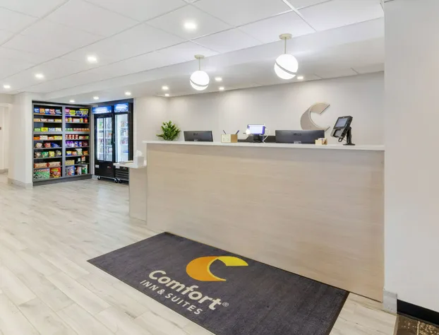 Comfort Inn & Suites hotel detail image 2