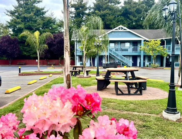 Best Western Country Inn hotel detail image 1