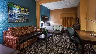 Best Western Plus McDonough Inn & Suites hotel detail image 3