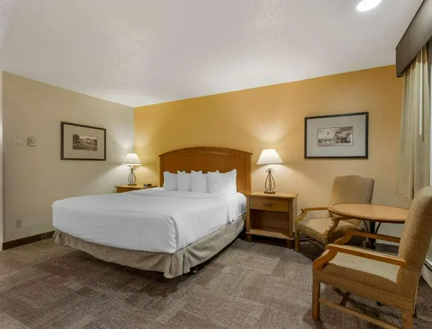 Best Western Pioneer hotel detail image 3