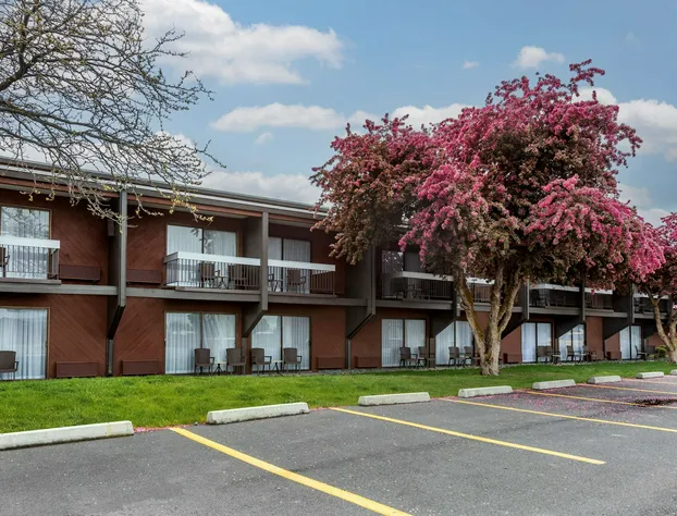 Best Western Sunridge Inn & Conference Center hotel detail image 4