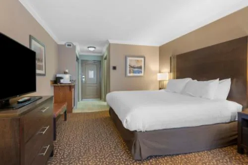 Best Western Plus Fernie Mountain Lodge hotel detail image 1