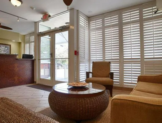 Best Western Hibiscus Motel hotel detail image 2