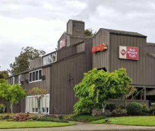 Best Western Plus Inn At The Vines hotel detail image 4