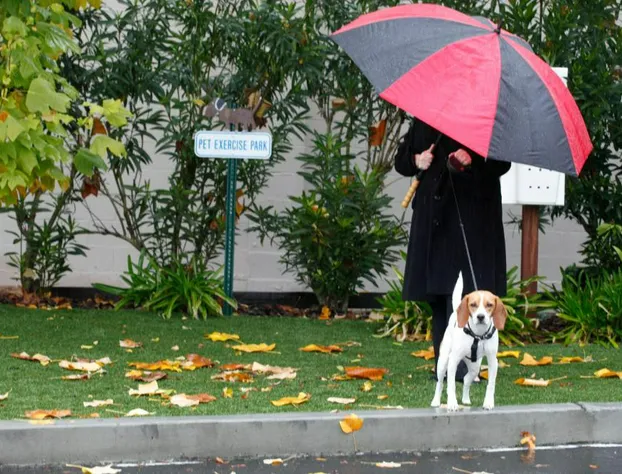Best Western Plus Humboldt House Inn hotel detail image 1