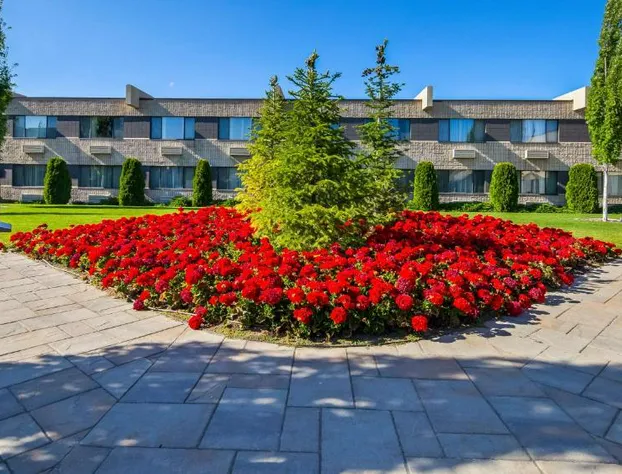 Best Western Plus University Inn hotel detail image 1