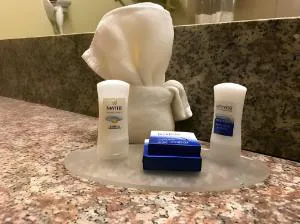 SureStay Plus Hotel by Best Western Quanah hotel detail image 3