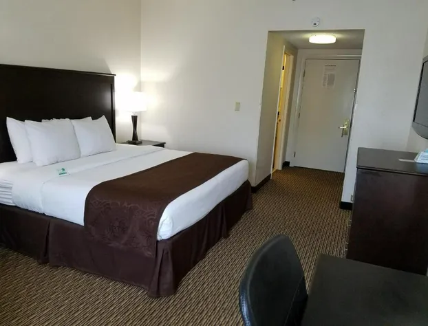 Best Western River City Hotel hotel detail image 4