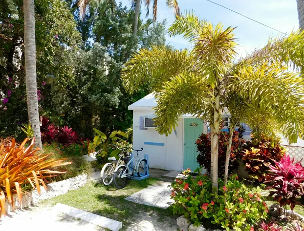 Pines & Palms Resort hotel detail image 3