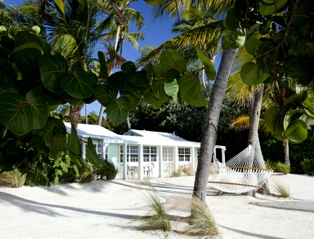 Pines & Palms Resort hotel detail image 4