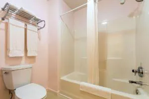 Econo Lodge Lakeshore hotel detail image 1