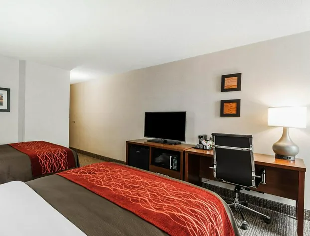 Spark by Hilton Denver East I 70 hotel detail image 3