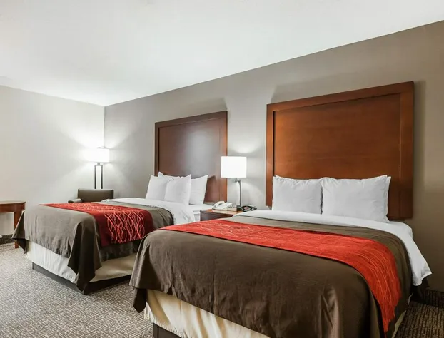 Spark by Hilton Denver East I 70 hotel detail image 4