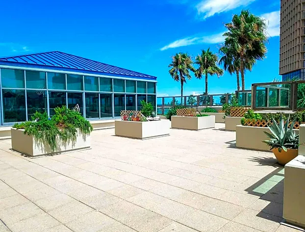 Omni Corpus Christi Hotel hotel detail image 4