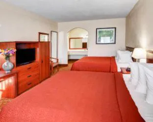 Quality Inn & Suites Canton hotel detail image 2