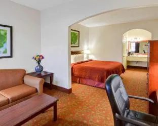 Quality Inn & Suites Canton hotel detail image 3