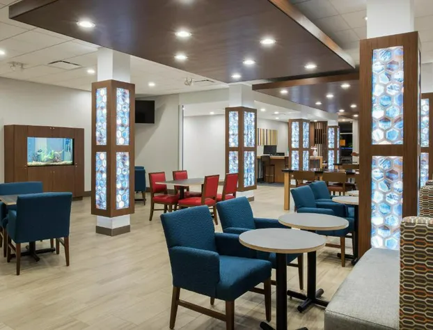 Holiday Inn Express & Suites West Plains Southwest by IHG hotel detail image 4