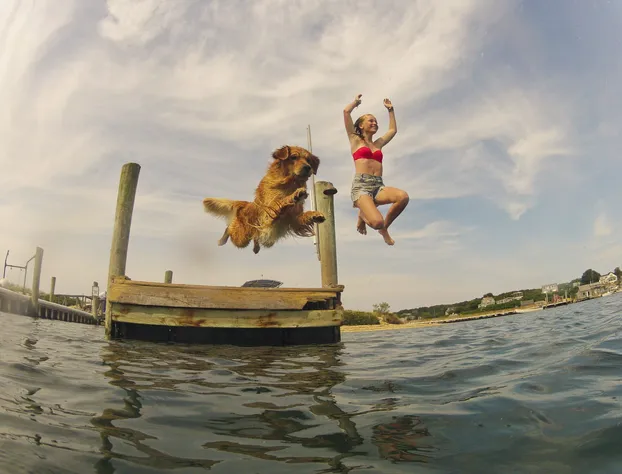 Menemsha Inn & Cottages hotel detail image 2