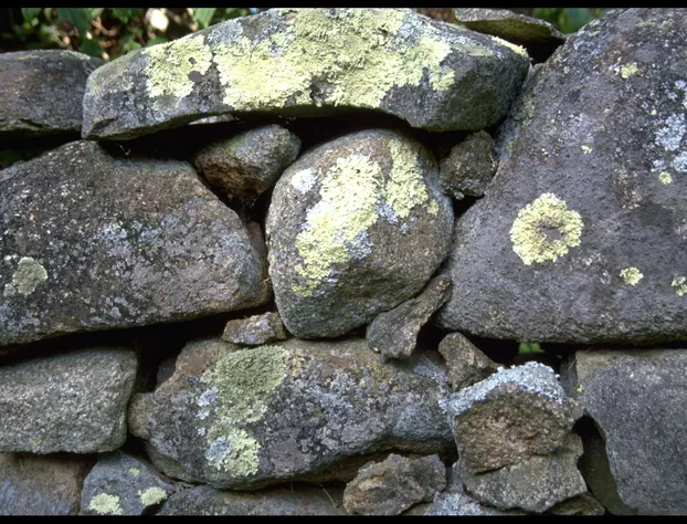 Menemsha Inn & Cottages hotel detail image 4