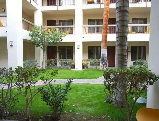 Palm Mountain Resort and Spa hotel detail image 3