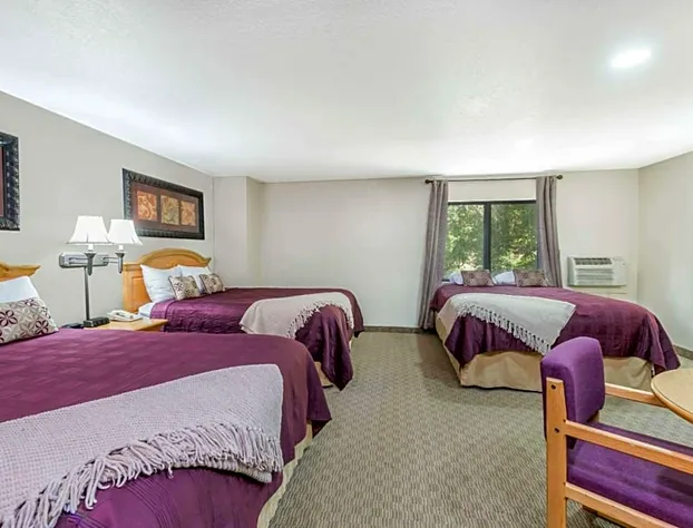 Super 8 by Wyndham Deadwood / Black Hills Area hotel detail image 4