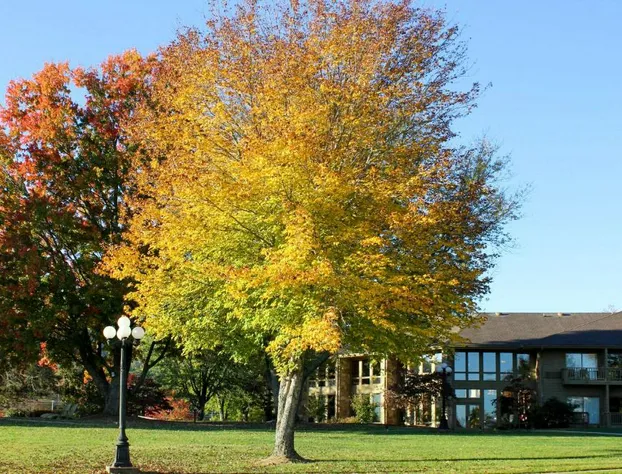 The Ridges Resort on Lake Chatuge hotel detail image 4