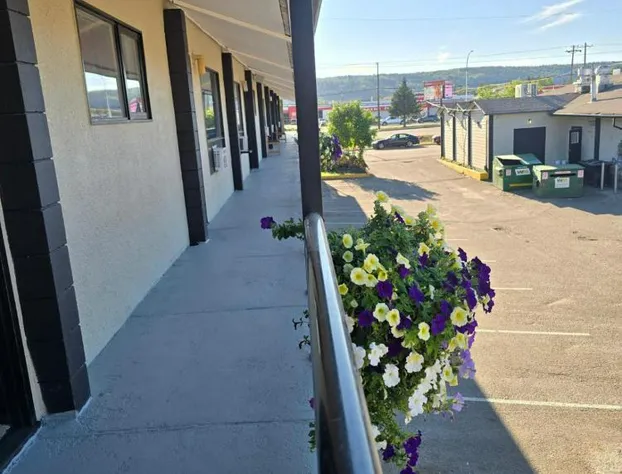 Camelot Court Motel hotel detail image 4