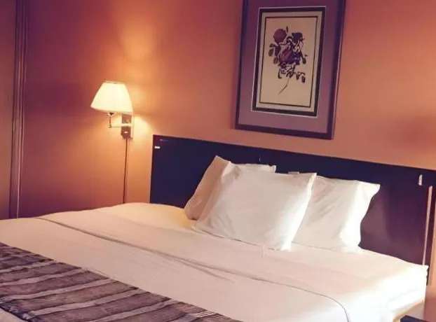 Americas Best Value Inn & Suites Macon at Sunset Dr hotel detail image 4