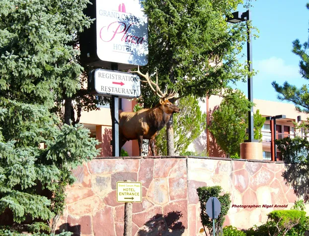 Grand Canyon Plaza Hotel-South Rim hotel detail image 1