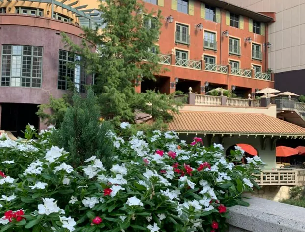 Hotel Valencia Riverwalk hotel detail image 4