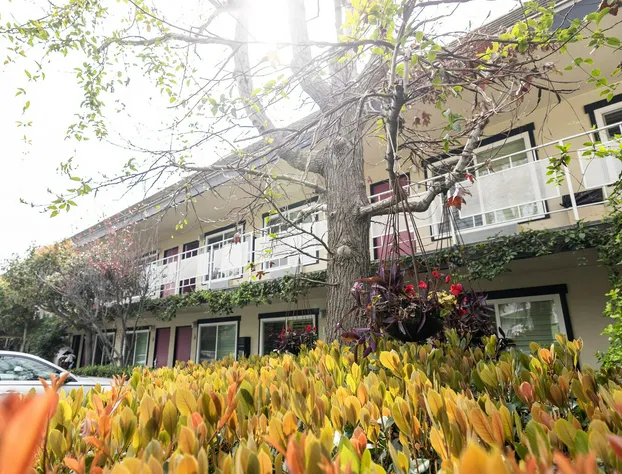 Alamo Inn & Suites hotel detail image 3