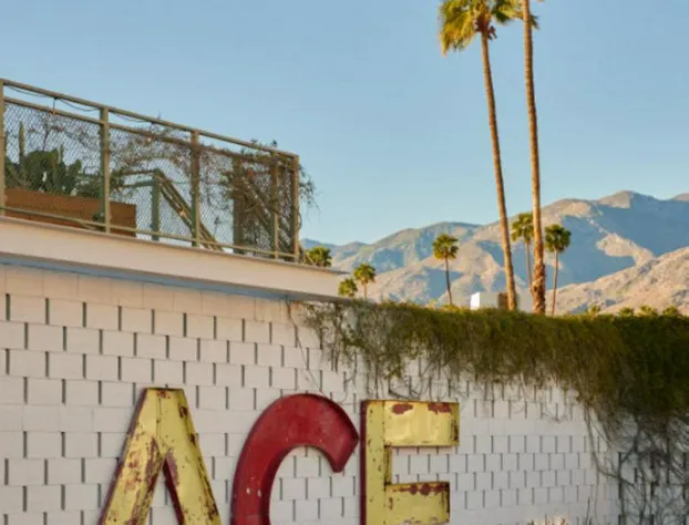 Ace Hotel & Swim Club Palm Springs hotel detail image 1