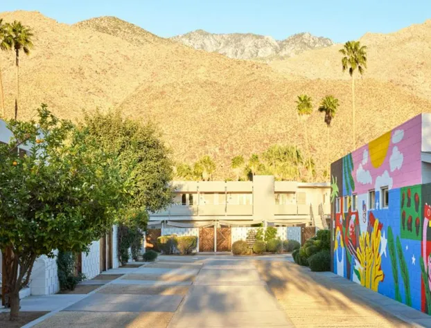 Ace Hotel & Swim Club Palm Springs hotel detail image 2