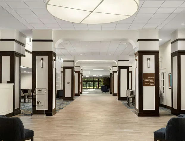 DoubleTree by Hilton Williamsburg hotel detail image 3