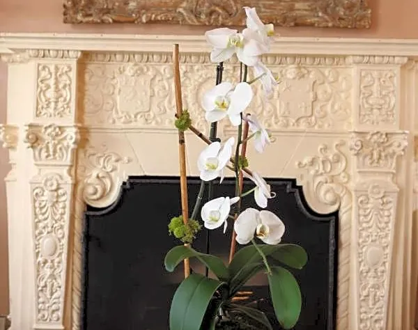 Hotel Carmel hotel detail image 1