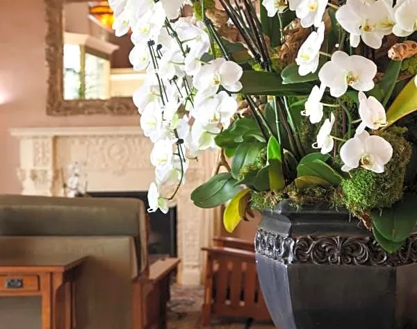 Hotel Carmel hotel detail image 4