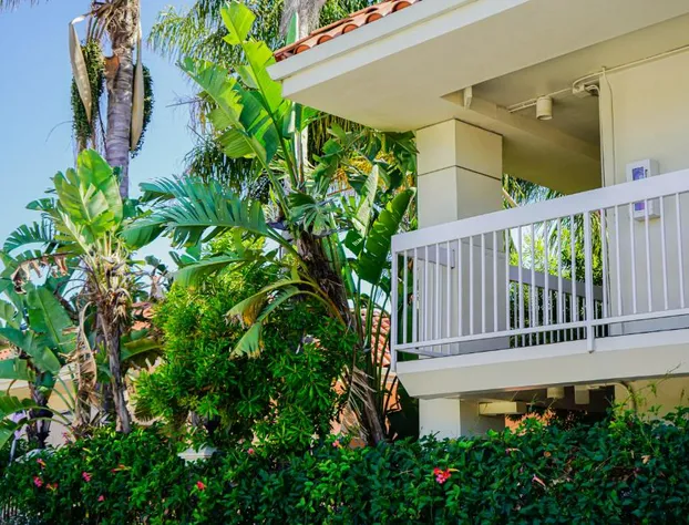 Uptown Oasis San Jose Airport hotel detail image 1