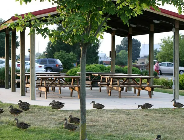 Bird in Hand Family Inn hotel detail image 2