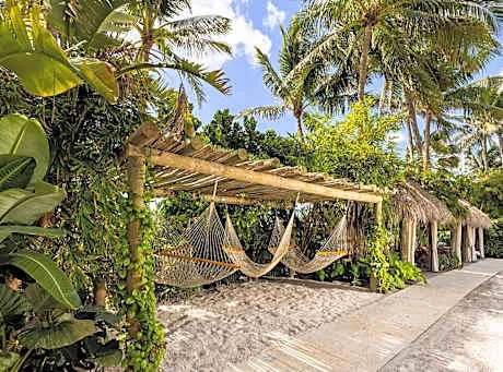 The Palms Hotel & Spa hotel hero