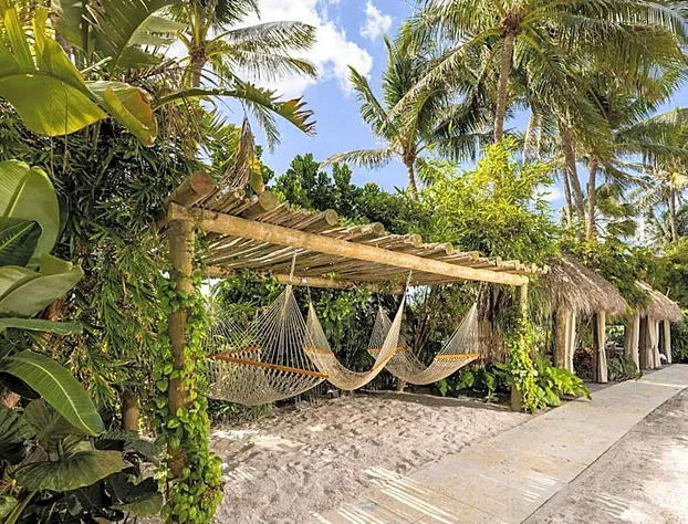 The Palms Hotel & Spa hotel detail image 3