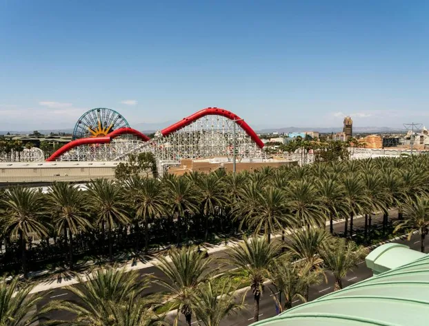 The Westin Anaheim Resort hotel detail image 3