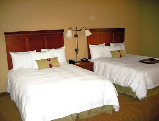 Hampton Inn Greenville hotel detail image 4