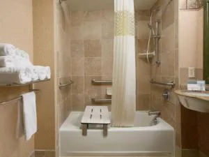 Hampton Inn Canon City hotel detail image 2