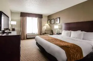 Quality Suites St. Joseph hotel detail image 3