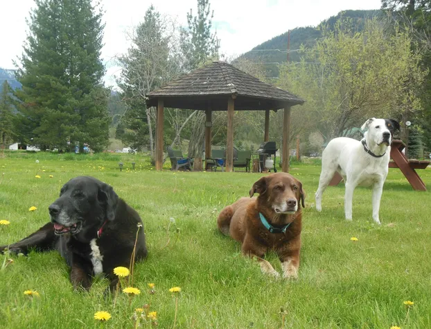 Clark Fork Lodge hotel detail image 2
