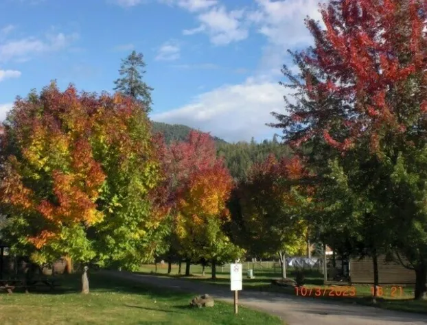 Clark Fork Lodge hotel detail image 3