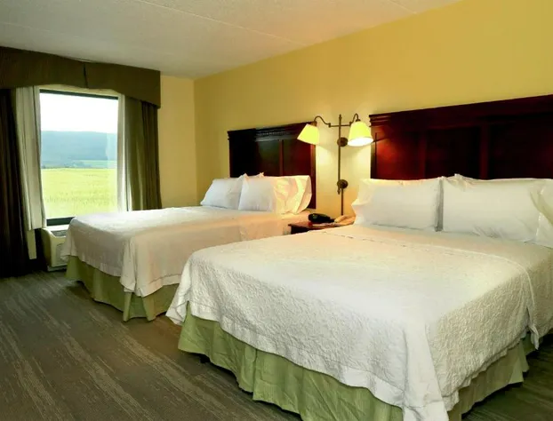 Hampton Inn & Suites Lamar hotel detail image 2