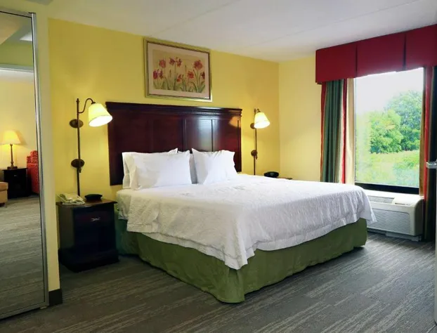 Hampton Inn & Suites Lamar hotel detail image 4